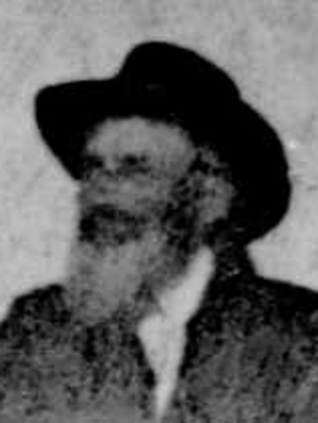 James Henry Riddle (1832 - 1905) Profile
